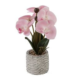 GAEM Цветочная композиция "Орхидея", L14 W12 H29 см