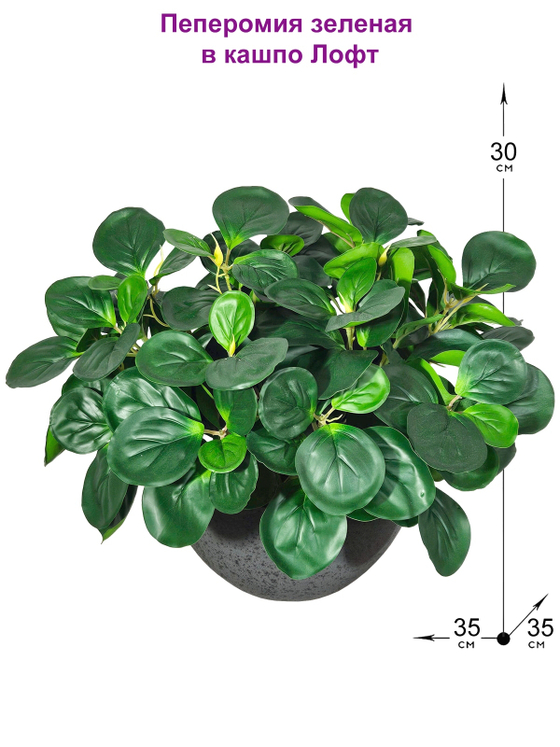 Пеперомия искусственная зеленая 35см в кашпо Лофт