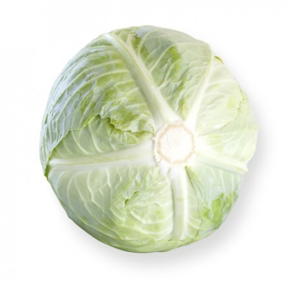 Септима F1 семена капусты белокочанной – фото 2