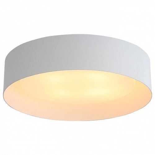 Накладной светильник ST-Luce SL392.502.04