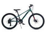 Maxiscoo "7BIKE" 24'' M300 (2024)