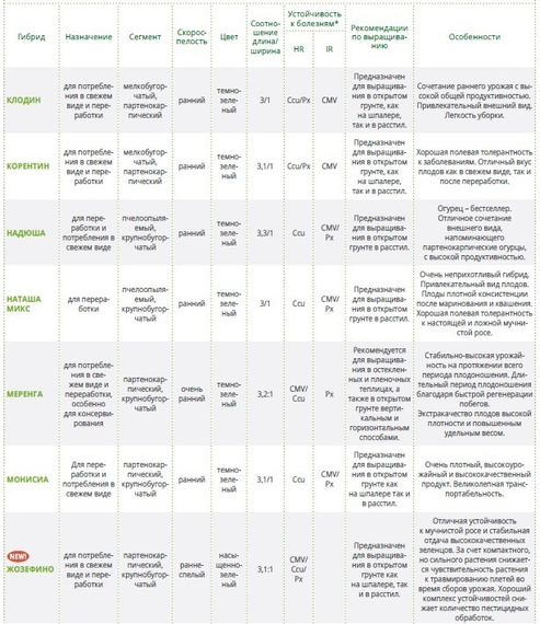 МЕРЕНГА F1 семена огурца партенокарпического (Seminis) отзывы – фото 18
