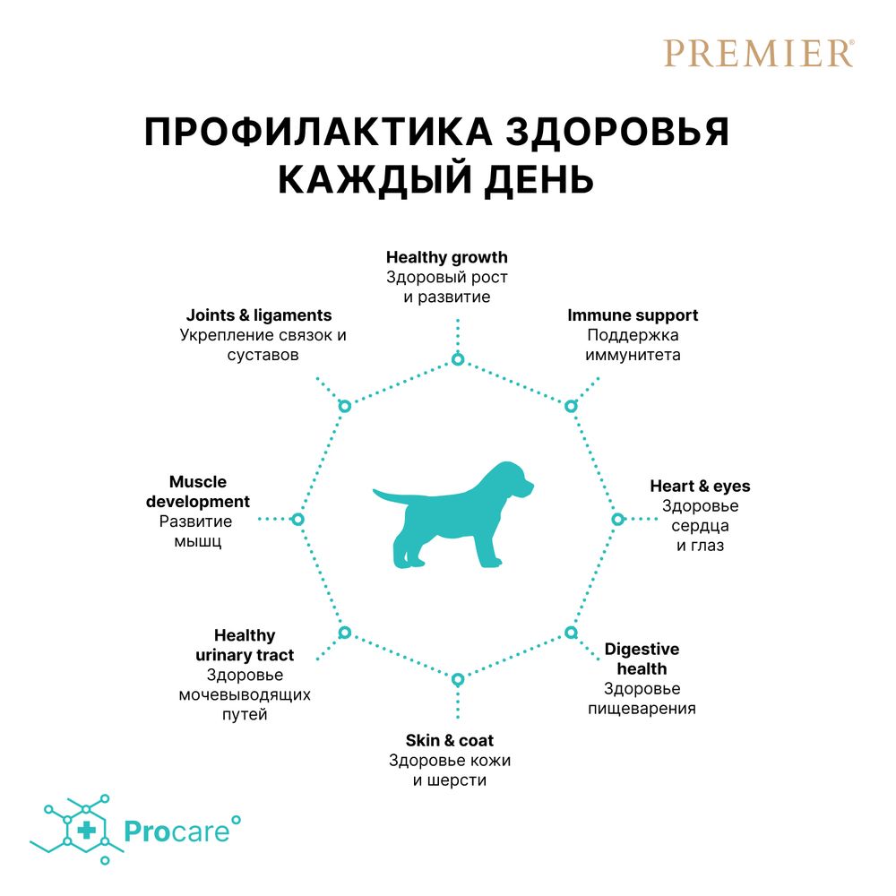 Сухой корм Premier Dog Turkey Puppy для щенков из свежего мяса индейки Сухой корм Premier Dog Turkey Puppy для щенков из свежего мяса индейки