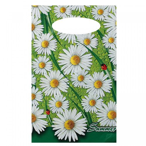 Пакет Пакет ПВД выруб. 20*30 "Лето" Цена за 1шт. (100 шт) И