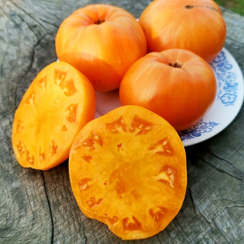 Помидоры Оранжевый Джаз - Orange Jazz Tomato