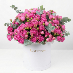 «Больше, чем у подруги»