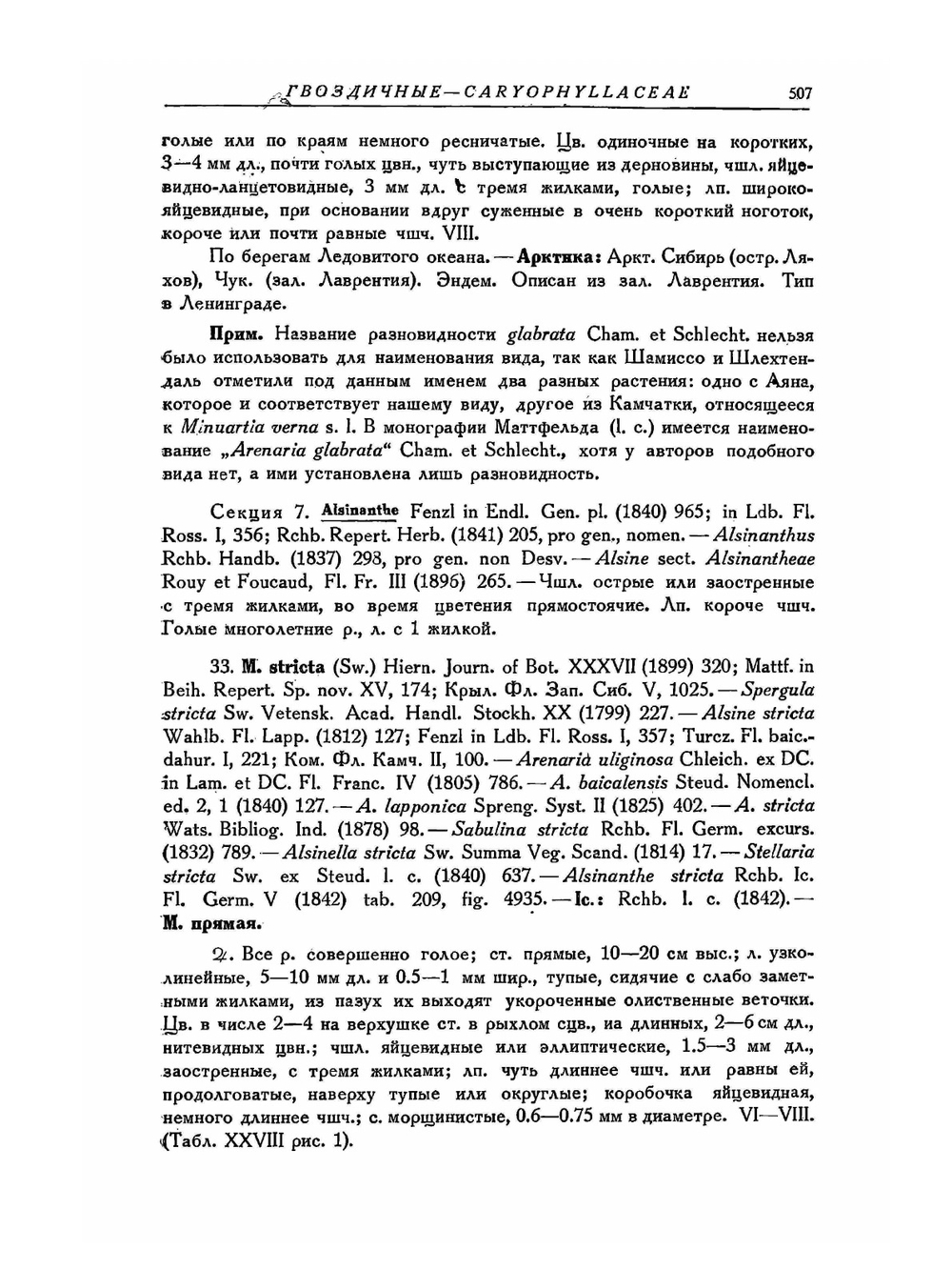 Флора СССР. Том 6. Маревые, гвоздичные и др. Часть 2 | В.Л. Комаров