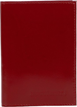 Обложка д/автодок, 9,5*0,3*13,5, с вкладышем, красный, 4656999