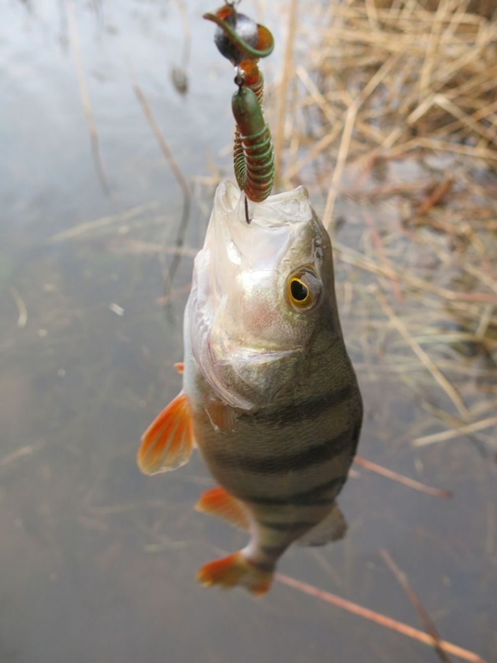 Мягкая приманка Lucky John BALLIST 4.0in (102 мм), цвет F08 6шт/уп