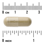 Swanson Vitamins, Full Spectrum®, андрографис метельчатый, 400 мг, 60 капсул