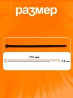 Стяжка (хомут) нейлоновая пластиковая 2.5*100 черный