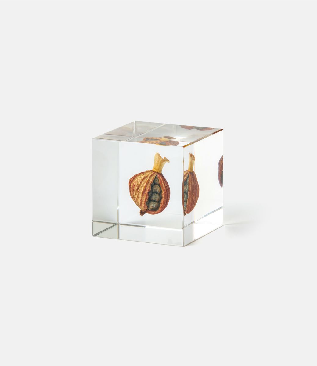 Sola Cube Shell Ginger — куб из акриловой смолы
