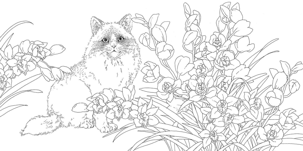 Gifts from animals Birth Moon Flower. Coloring Book