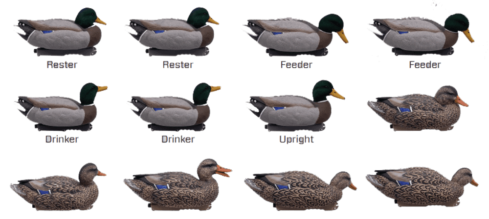 Кряква "FA LIVE MALLARD FLOATERS EVA FLOCKED HEADS" FA 12 шт.