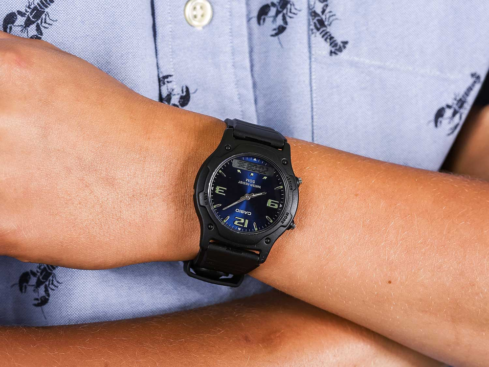 Часы Casio AW-49HE-2AVEG