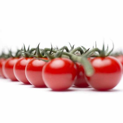 Компетишн F1 семена томата индетерминантного (Nunhems / Нюнемс)