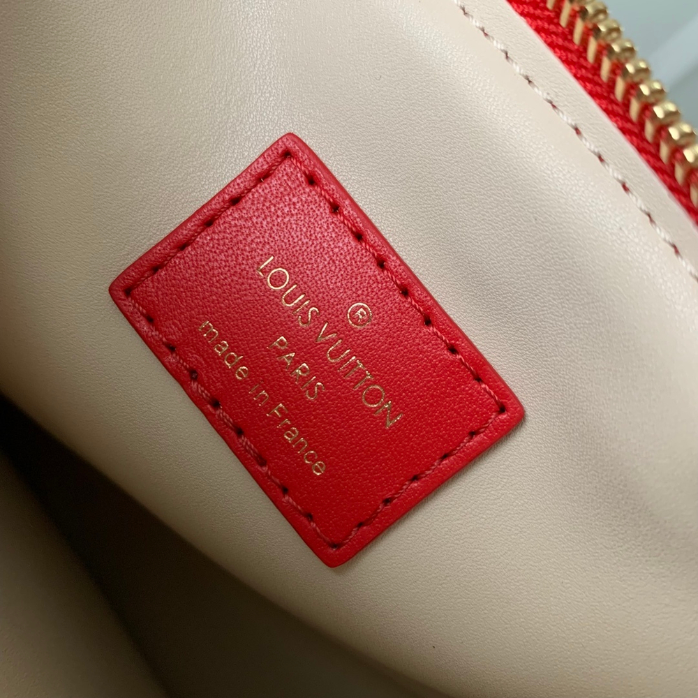 Louis Vuitton Coussin PM