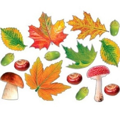 Набор большой украшений на скотче "Осенний лес" 15шт