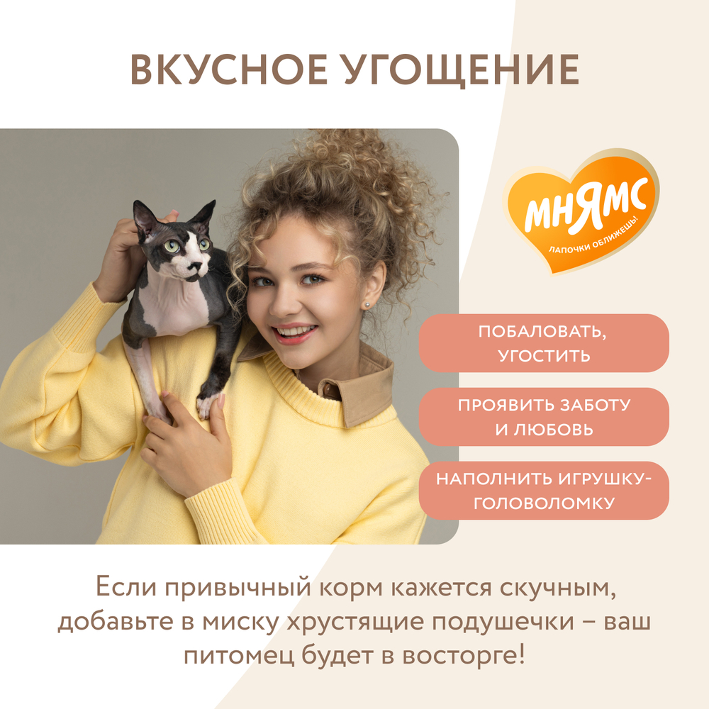 Лакомство для кошек Мнямс "Здоровье и красота" хрустящие подушечки с лососем 60 гр, 10 шт