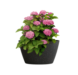 Кашпо, коллекция Classic, форма BOWL