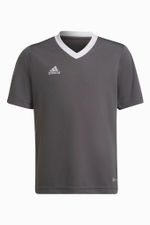 Футболка adidas Entrada 22