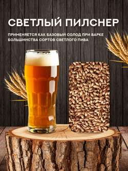 "СОЛОД СВЕТЛЫЙ ПИЛСНЕР", Курский солод