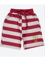 Шорты для мальчика.