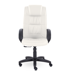 Кресло Премьер В пластик 727 S-0402 (белый)