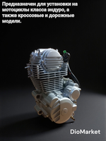 Двигатель для эндуро 250 кубов 172FMM-3A 2х-клапанный, грм цепь