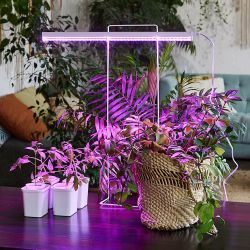 ULI-P20-10W-SPSB IP40 WHITE Светильник для растений светодиодный линейный. 560мм. выкл. на корпусе. Спектр для рассады и цветения. TM Uniel