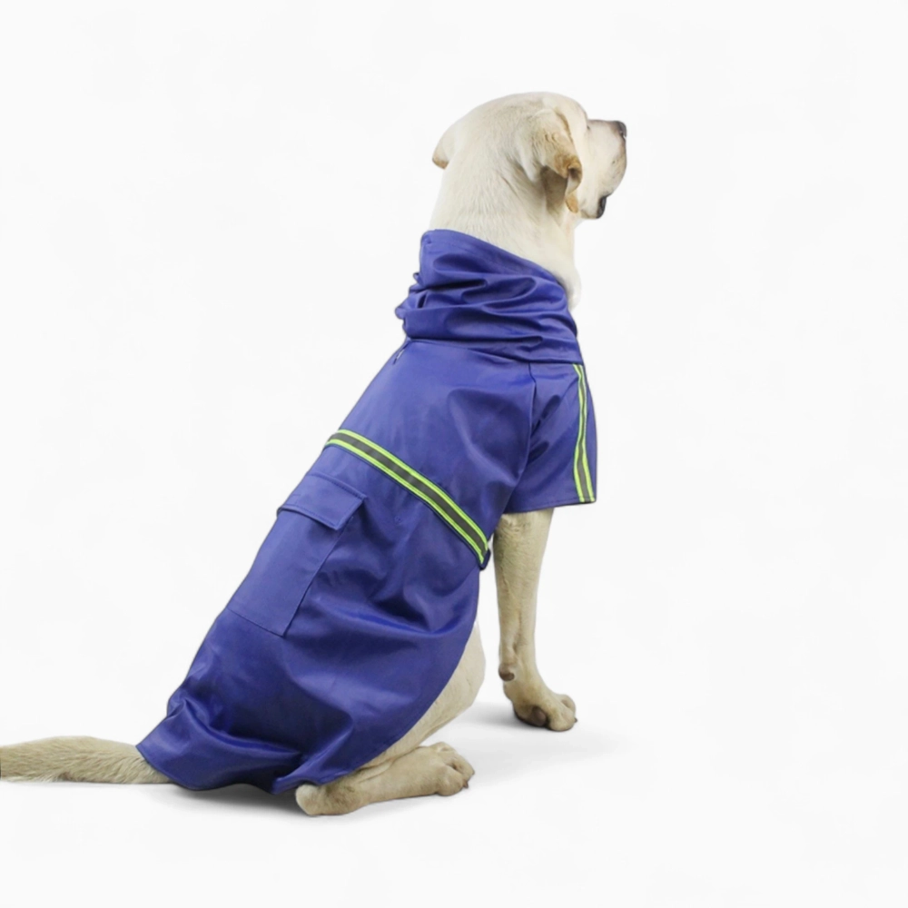 Дождевик «Big city»