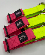 Ошейник Волк 2.0