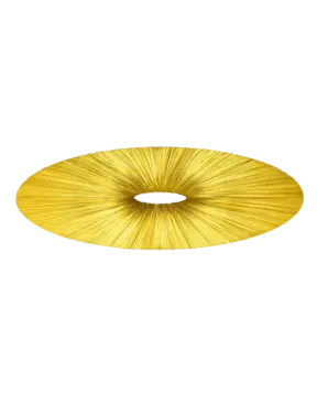 Liana Wall & Ceiling Light by aqua creations