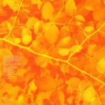 Porcupine Tree / On The Sunday Of Life... (2LP)