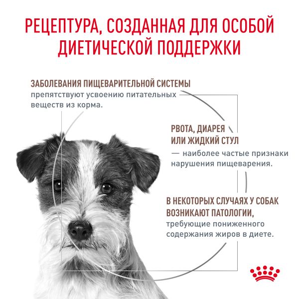 Сухой корм Royal Canin Gastrointestinal Low Fat Small Dog для взрослых собак мелких пород при нарушениях пищеварения
