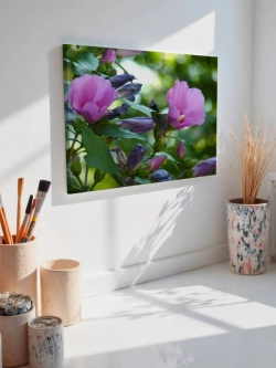 Картина на стену 40 X 50 Гибискус сирийский