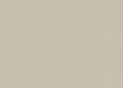 Otaru / Rainbow vol3 / Kumano / Loft Superior