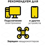 Генератор бензиновый инверторного типа DDE DPG1201i (1ф ном/макс. 1,0/1,1 кВт, 2-х тактн дв)