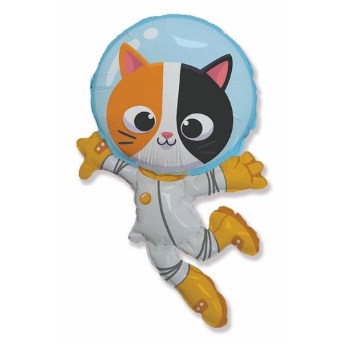 Кот космонавт