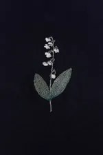 Футболка Гербарий Ландыш Черная