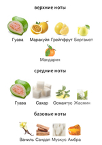 House Of Brandt Guava Sorbet