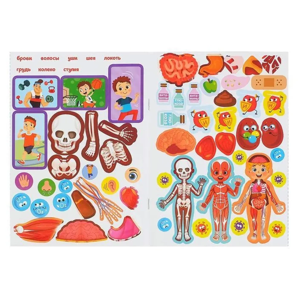 Наклейки «Как устроено моё тело», 16 стр