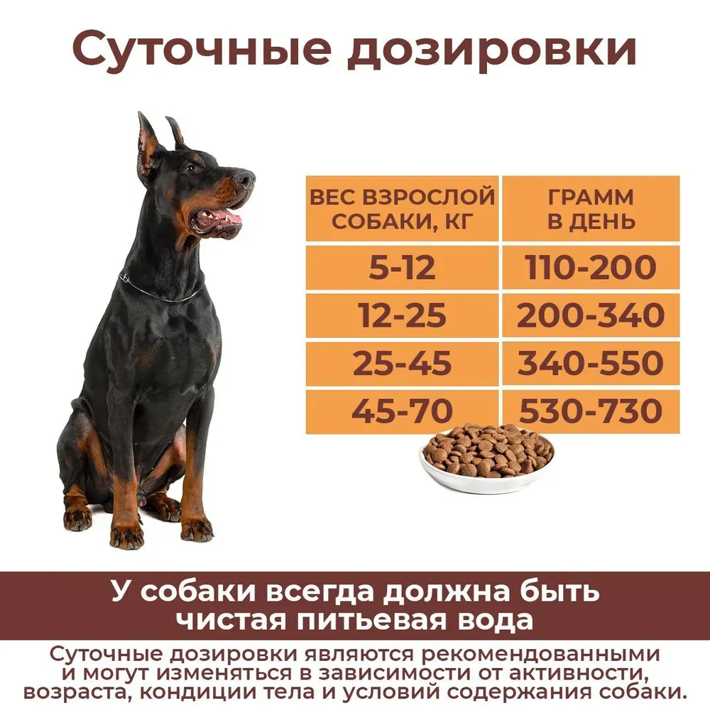 Сухой корм Дилли для активных собак