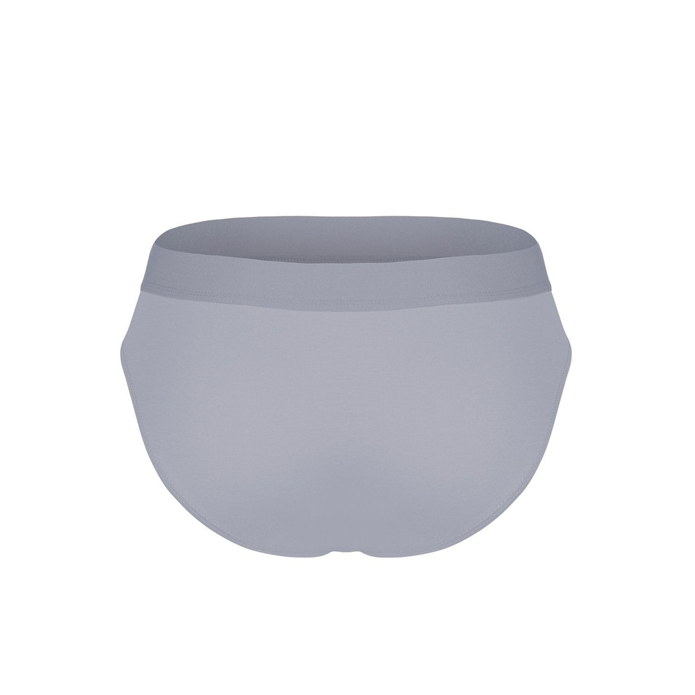 Светло-серые бамбуковые трусы-брифы (Размер: S) (Цвет: светло-серый)