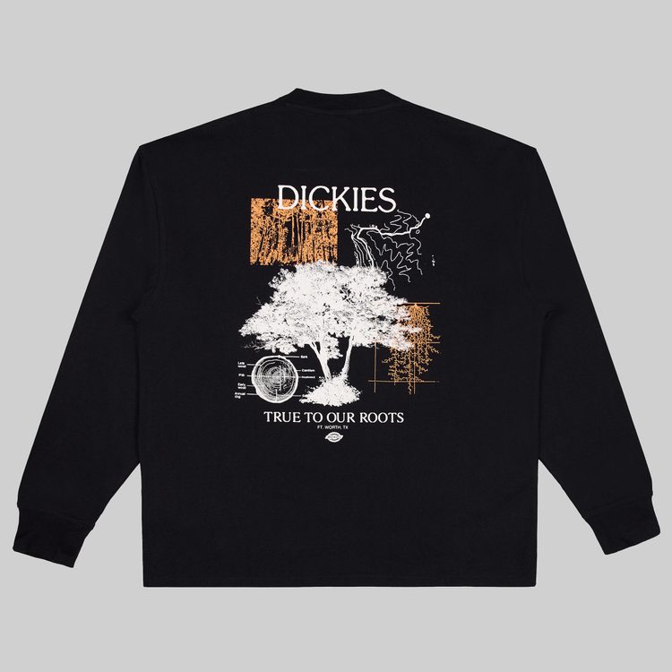 Лонгслив мужской Dickies Kenbridge Tee артикул:DK0A4YVRBLK1 - купить в магазине Дайс