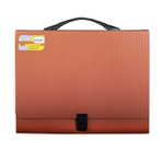 Папка-портфель на застежке Alingar, А4 360х265х40 мм, пластиковая, 800 мкм, ассорти, матовая, карман для визитки, "Flossy"