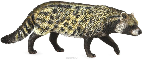 Африканская циветта, M