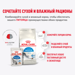 Royal Canin Indoor Sterilized Корм консервированный для взрослых кошек соус 85г