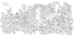 Wonder. Coloring Book