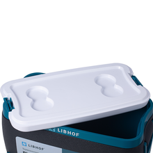 Изотермический контейнер Libhof Picnic BW-42R